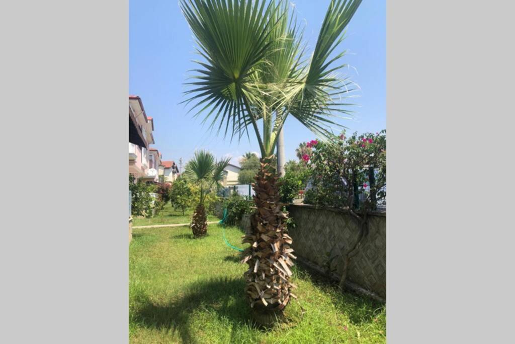 Peaceful House Villa Fethiye Exterior foto